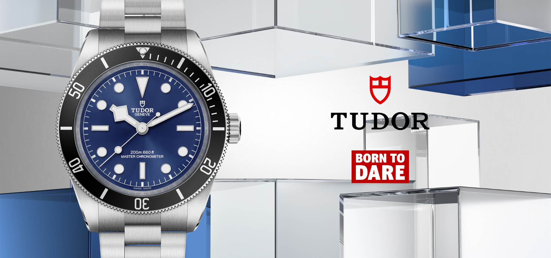 Tudor-202506